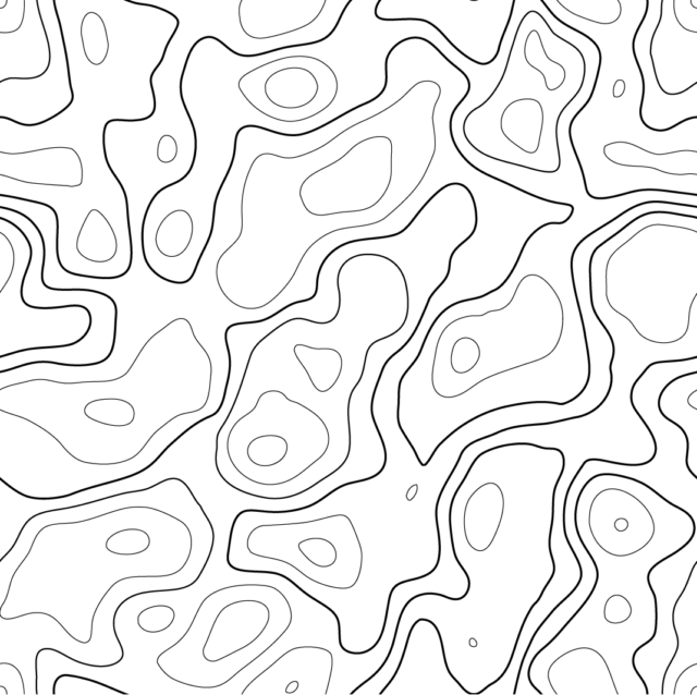 topographic map - black and white
